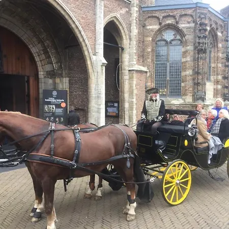 Lange Geer