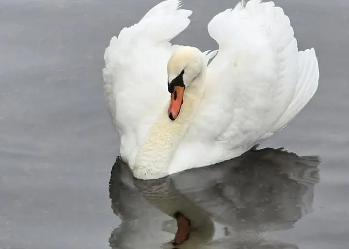 Bed & Breakfast Lange Geer 3*